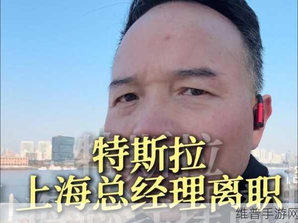 特斯拉上海厂长离职传闻背后的手游产业启示，小米高管自信回应引热议