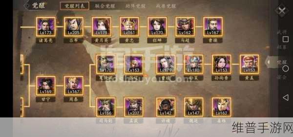 攻城掠地手游深度攻略，觉醒酒的正确使用方法