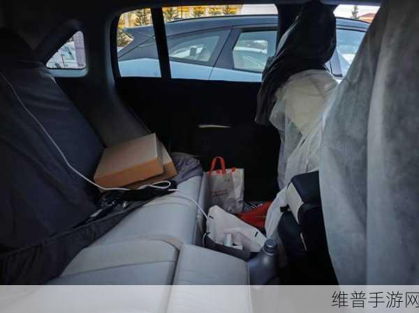 极氪MIX对开门挑战极窄空间,手游界的创新革命,真实力让传统平开门甘拜下风