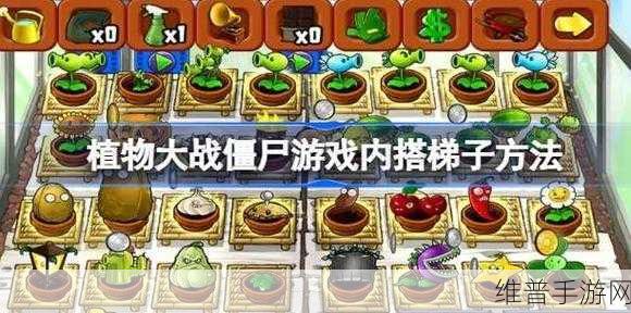 植物大战僵尸海外版攻略，为何需要搭梯子及全面解析