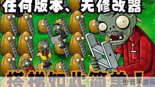 植物大战僵尸海外版攻略，为何需要搭梯子及全面解析