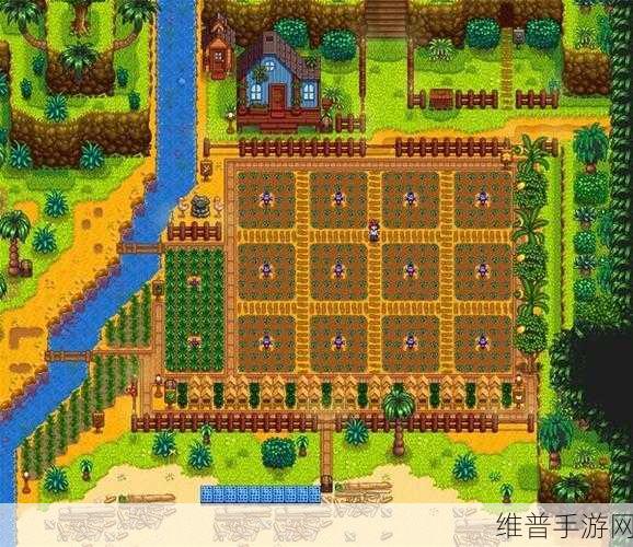 星露谷物语深度攻略，姜岛宝石摆放秘籍与神秘布局解析