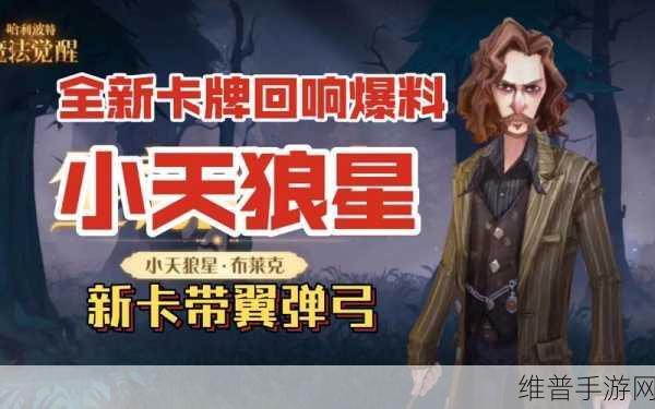 哈利波特魔法觉醒全新小天狼星回响使用攻略