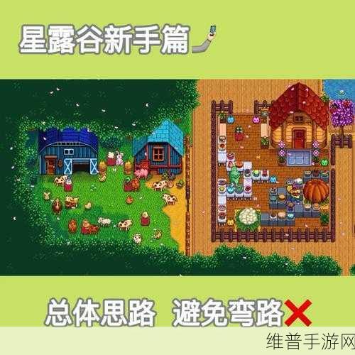 星露谷物语深度攻略，揭秘运气系统及其提升之道