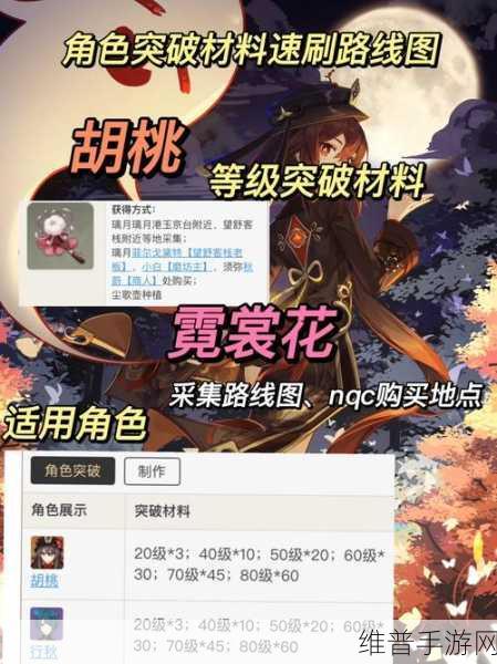 FGO深度剖析，加藤段藏角色突破及技能升级策略指南