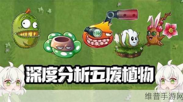 植物大战僵尸2植物五强与五废深度解析