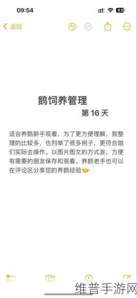 鹅鹅鸭房规全解析，鹅鸭杀标准房规深度解读