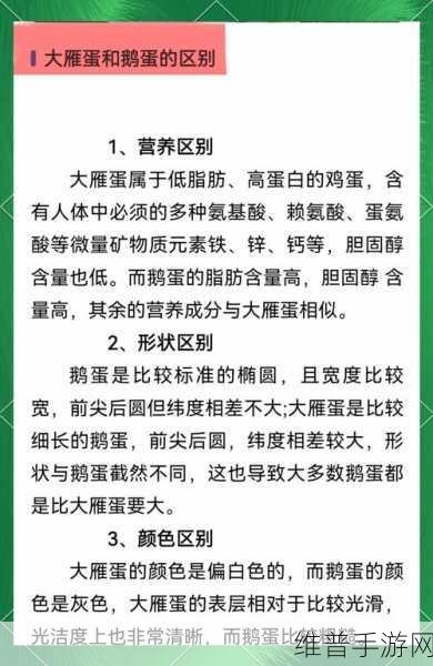 鹅鹅鸭房规全解析，鹅鸭杀标准房规深度解读