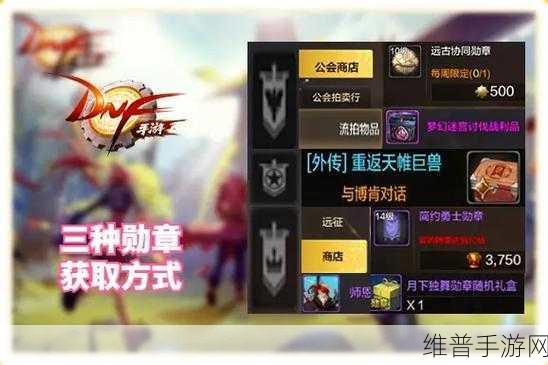 DNF手游深度攻略，旅人徽章选择全解析