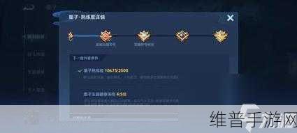 王者荣耀城市徽章获取与升级全攻略