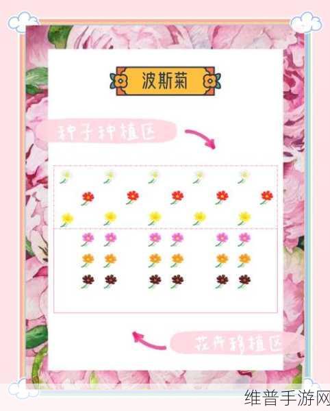 动物森友会灌木开花全攻略，解锁美丽花园的秘密