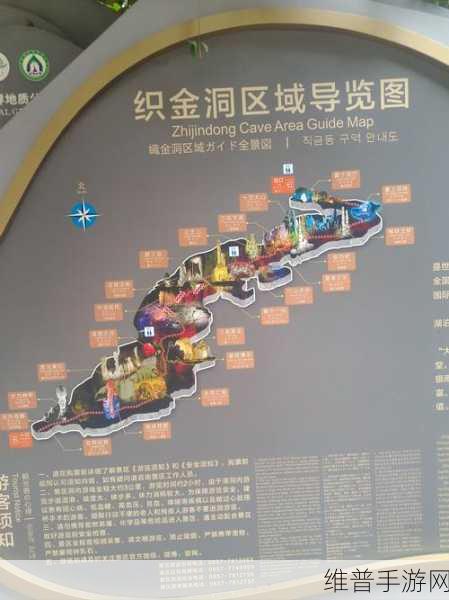 烟雨江湖探险指南，揭秘药王谷与山洞位置全攻略