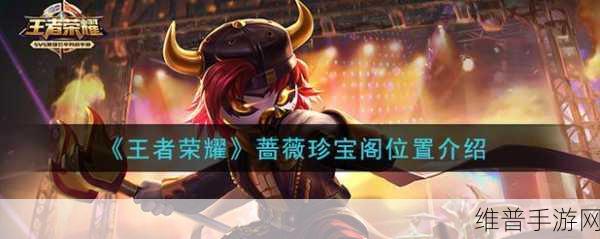 王者荣耀蔷薇珍宝阁全攻略，位置探寻与兑换秘籍