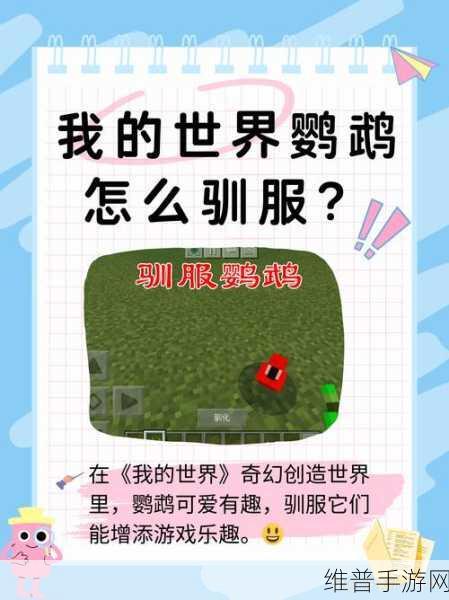 我的世界手游深度攻略，如何为动物命名并打造个性化世界
