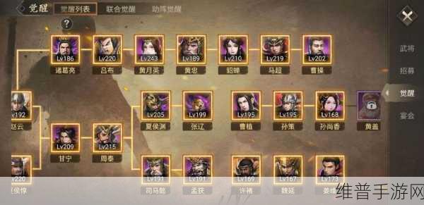 攻城掠地联合觉醒顺序图最新攻略，解锁最强战力之路