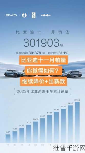 11月销量榜震撼揭晓，比亚迪手游领跑，蔚来等新势力能否逆袭？