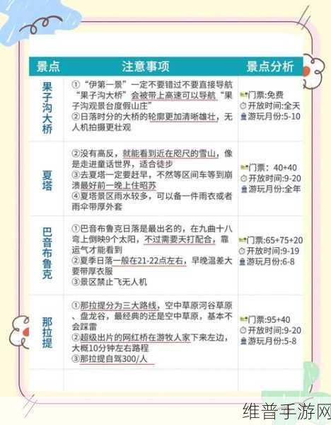 环行旅舍开荒舍友优先培养推荐及策略指南