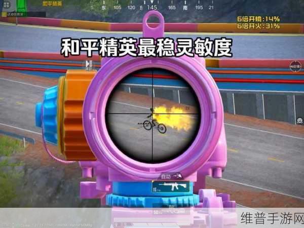 和平精英亲密度机制全解析，揭秘最低要求与高效提升策略指南