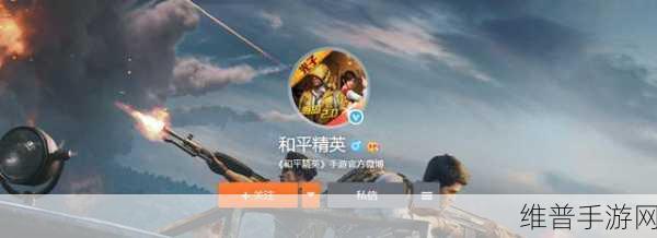 和平精英亲密度机制全解析，揭秘最低要求与高效提升策略指南