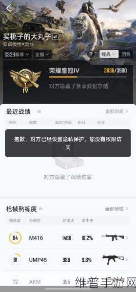 和平精英高手攻略，全面解析如何隐藏历史战绩
