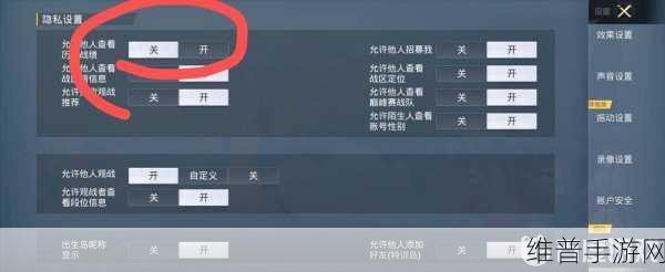 和平精英高手攻略，全面解析如何隐藏历史战绩