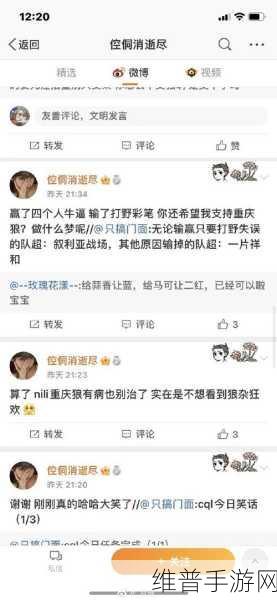 王者荣耀狼队冠军战队签名价格全解析