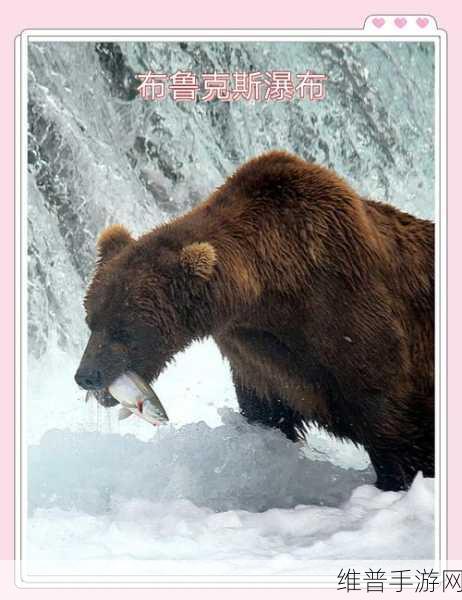 地下城堡3棕熊讨伐攻略，哪个地图棕熊更多？