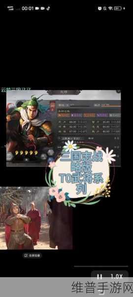 三国志战略版火炽原燎战术用法深度剖析与价值提升策略