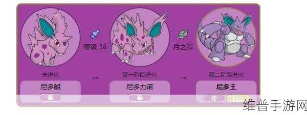 宝可梦大探险，尼多娜技能与宾果搭配全攻略，食谱揭秘