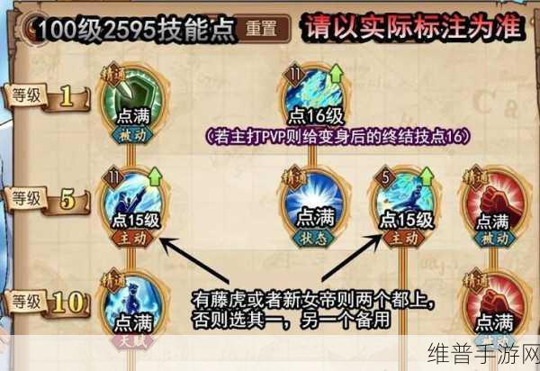 航海王燃烧意志马尔高加点全解析，打造无敌战力的秘诀