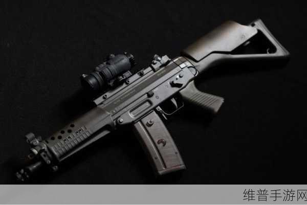 和平精英深度攻略，揭秘SG枪械的真实面貌