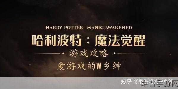 哈利波特，魔法觉醒手游定位设置全攻略