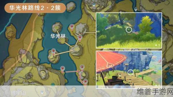 原神绝云椒椒采集指南与资源管理高效避免浪费攻略