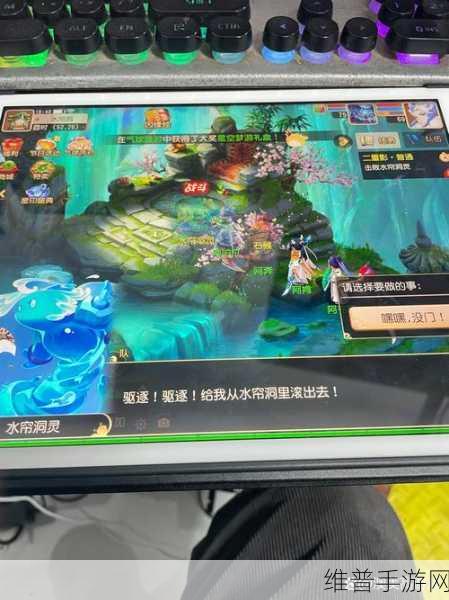 梦幻西游手游深入解析，合理救援在资源管理中的重要性及获取丰厚经验的策略