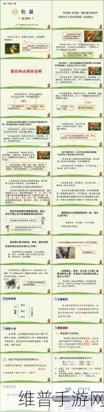 大话仙境后山松鼠采集深度技巧与策略分享