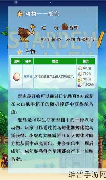 星露谷物语，全面解析鸵鸟蛋的孵化技巧