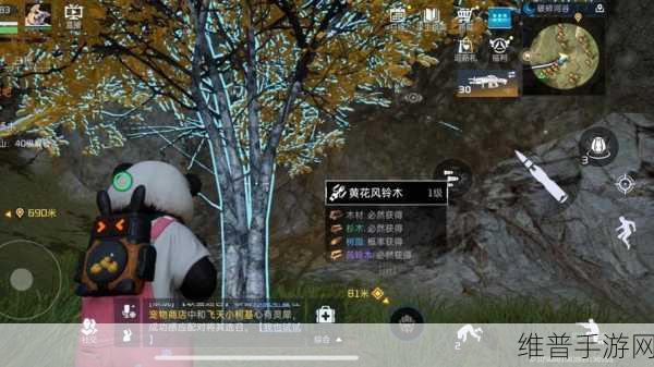星球重启深度攻略，揭秘高岚位置与探索要点
