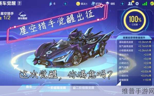 QQ飞车手游星空猎手宠物搭配全攻略，解锁速度与激情的最佳拍档