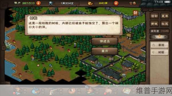 烟雨江湖泰安宝藏获取全攻略，揭秘最佳藏宝地点与获取秘籍