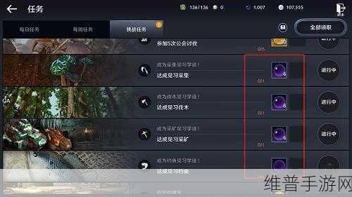 黑色沙漠手游攻略，小号快速升级全解析