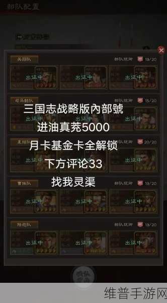 天下争霸三国志快速升级攻略，高效游戏策略全解析！