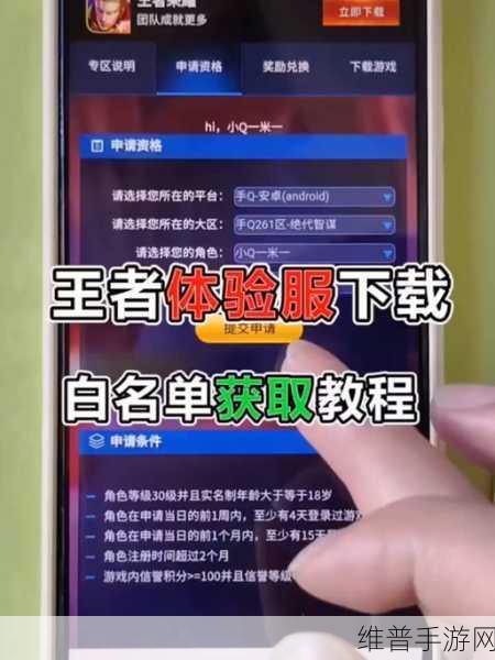 王者荣耀体验服申请全攻略，解锁游戏新体验