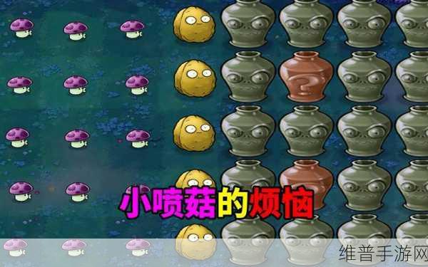 植物大战僵尸中喷射蘑菇与小蘑菇角色价值深度探析