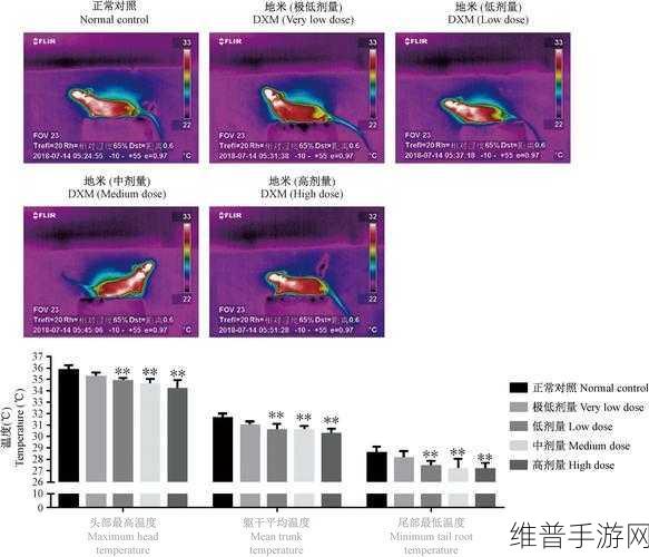 FLIR T1K高清红外热像仪,揭秘蜜蜂隐藏行为,打造手游新体验