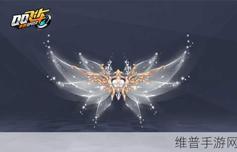 QQ飞车手游派对礼盒获取与兑换全攻略，轻松解锁炫酷背饰