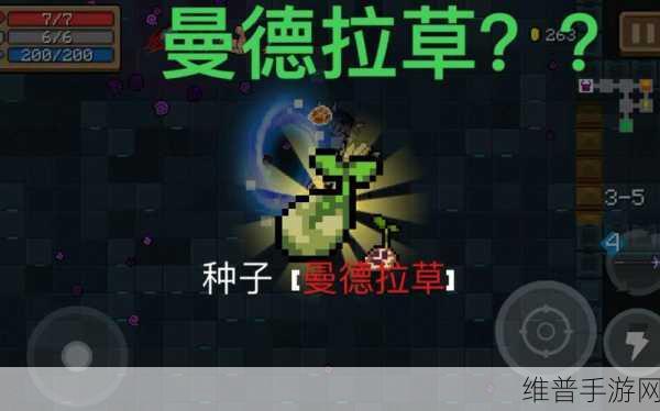 元气骑士曼德拉草，解锁无限收获的秘密