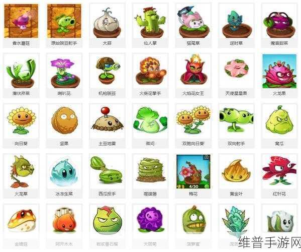 植物大战僵尸2稀有宝物开箱攻略，喇叭花的实力解析