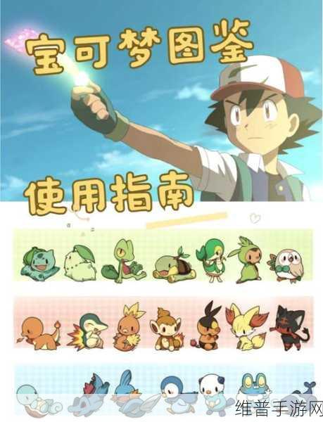 口袋妖怪蓝宝石，探索太阳珊瑚的秘密世界全攻略