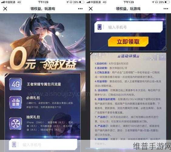 王者荣耀专属流量包详解，如何高效利用游戏流量