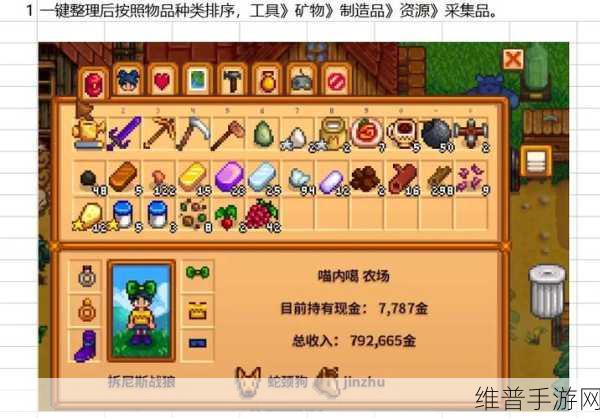 星露谷物语，全面攻略——如何高效扩展背包格子